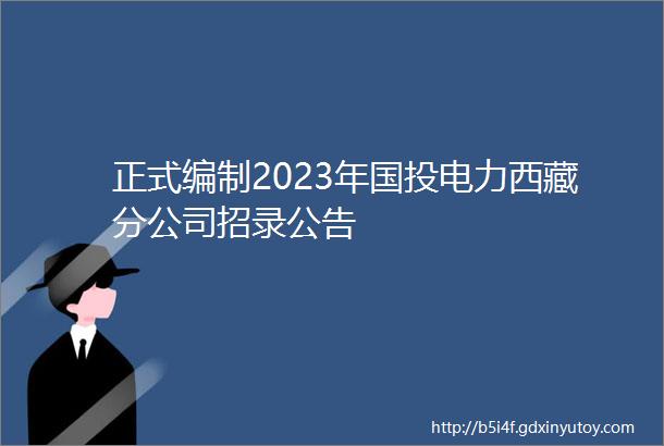 正式编制2023年国投电力西藏分公司招录公告